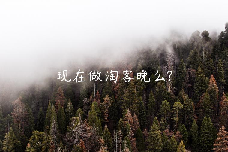 現(xiàn)在做淘客晚么?